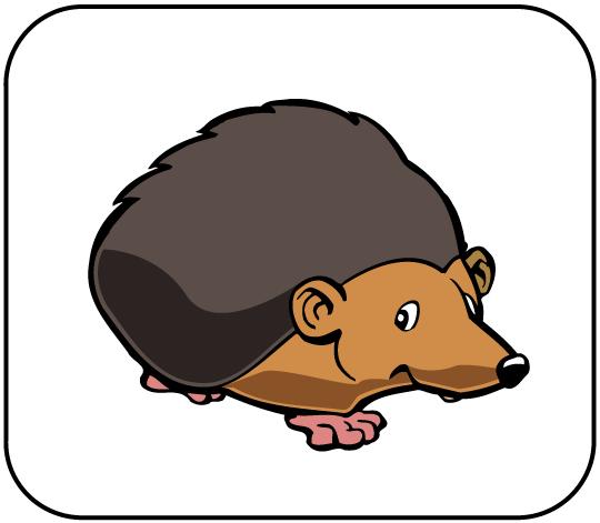 IGEL DER